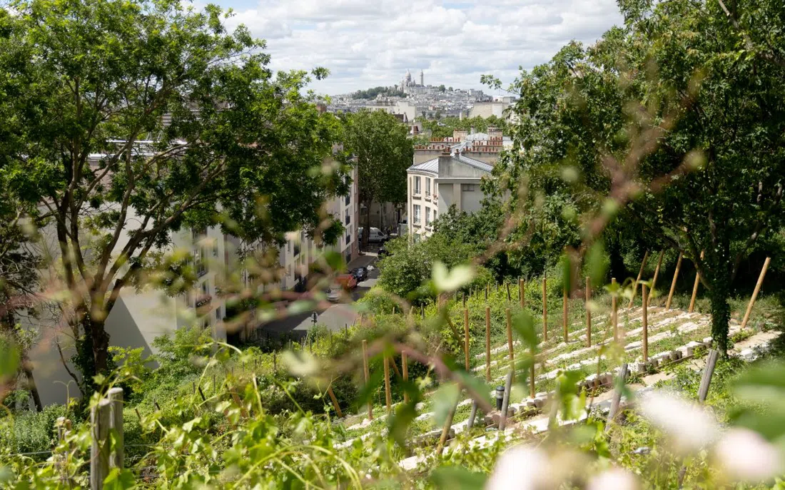 Clos Montmartre, Paris